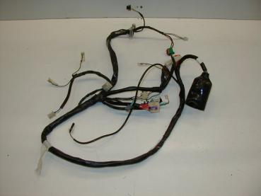 Kabelbaum Kabelstrang Honda SCV 100 Lead, 03-07