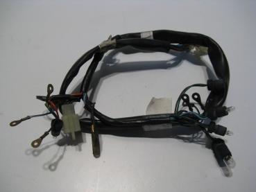 Kabelbaum Kapelstrang Kabel Cockpit Tacho Honda FES 125 Pantheon, JF05, 98-03