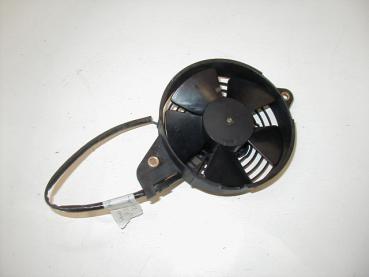 Kühlerlüfter Honda FES 125 Pantheon, 03-07
