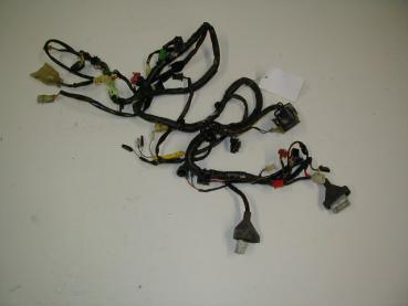 Kabelbaum Kabelstrang Wire Harness (32100-MALA6006) Honda CBR 600 F, PC31, 95-96