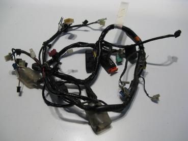 Kabelbaum Kabelstrang Kabel Honda CBF 600 S ABS, PC38, 04-07