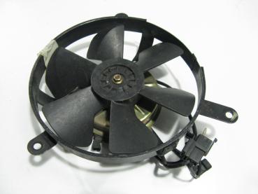 Kühlerlüfter Lüfter Kühlerventilator Honda CBR 900 RR Fireblade, SC28, 94-95