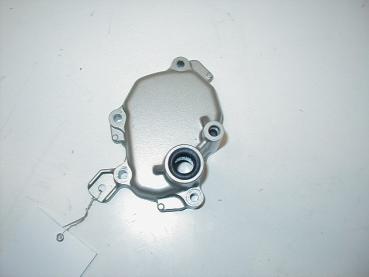 Motordeckel Motor-Deckel links üver Schaltwelle Honda CBF 1000 ABS, SC58, 06-10