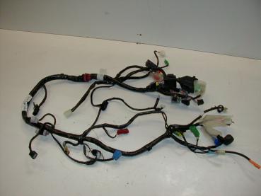 Kabelbaum Kabelstrang Kabel Hauptteil Hauptstrang Honda CBF 1000 ABS SC58, 06-10