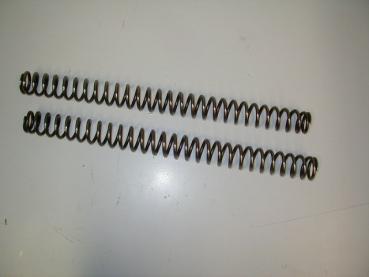 Gabelfedersatz Gabelfedern Gabel Kawasaki KLV 1000