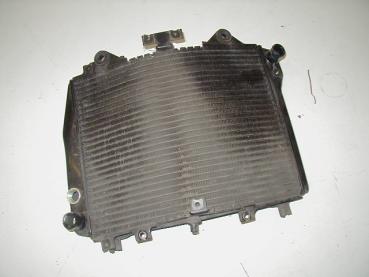 Wasserkühler Kühler Radiator Water Cooler Kawasaki ZZR 1200