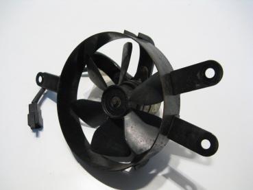 Kühlerlüfter Kühlerventilator Lüfter Ventilator Yamaha YP 250 Majesty 4UC, 96-99