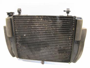 Wasserkühler Wasserkuehler Kühler Kuehler Yamaha YZF-R6, RJ03, 01-02