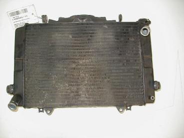 Wasserkühler Kühler Yamaha FZR 1000, 91-93