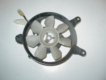 Kühlerlüfter Triumph Daytona, 91-92