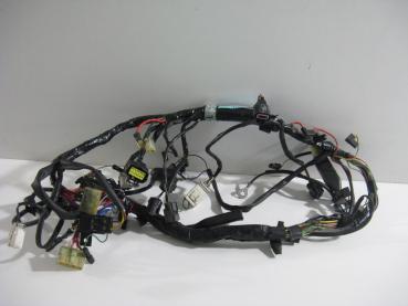 Kabelbaum Kabelstrang Wire Harness Cables Triumph Legend TT, T309RT, 98-01