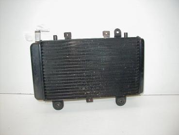 Wasserkühler Kühler Kuehler Radiator Triumph Tiger 885, T709, 99-00