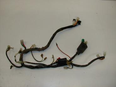 Kabelbaum Kymco Stryker 125, 99-