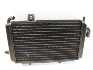 Wasserkühler Kühler Kuehler Piaggio EX 150 Hexagon, 94-98