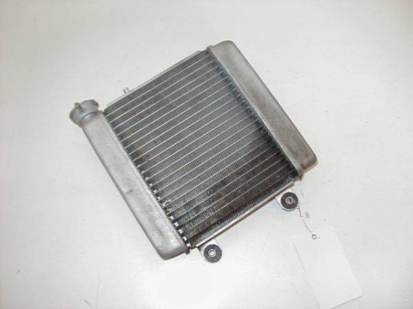 Wasserkühler Honda FES 125 Pantheon, 03-07