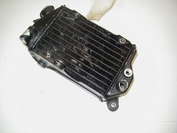 Wasserkühler rechts Kawasaki KLR 250, 84-92