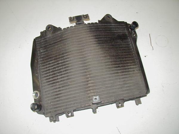 Wasserkühler Kühler Radiator Water Cooler Kawasaki ZZR 1200