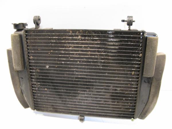 Wasserkühler Wasserkuehler Kühler Kuehler Yamaha YZF-R6, RJ03, 01-02