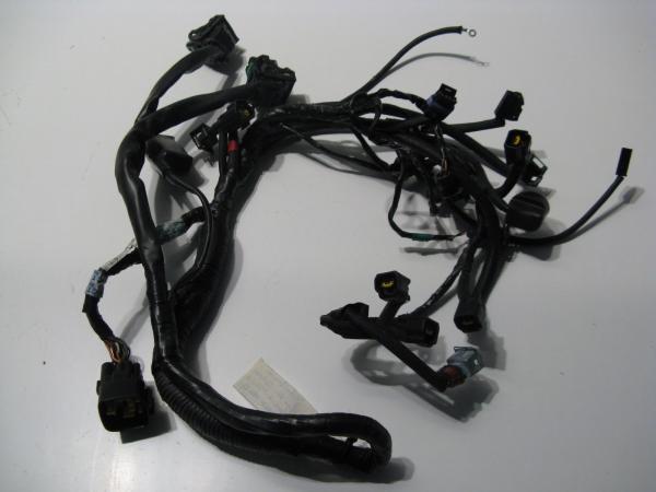 Kabelbaum Kabelstrang Kabel Motor Motorbereich Triumph TT 600, 00-03