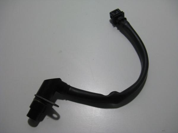 Lichtmaschinen-Pick-Up Zündimpulsgeber Triumph Tiger 1050, 115NG, 07-13